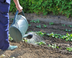 Gardening made easy!