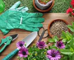 Make your gardening easy and effortless using the right garden tools