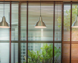 Modern blinds for improving the building conditions