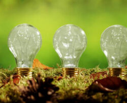 Types of light bulbs