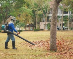 3 Popular Leaf Blowers to Choose From