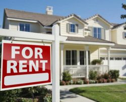 3 Tips to Follow While Looking for Cheap Houses to Rent