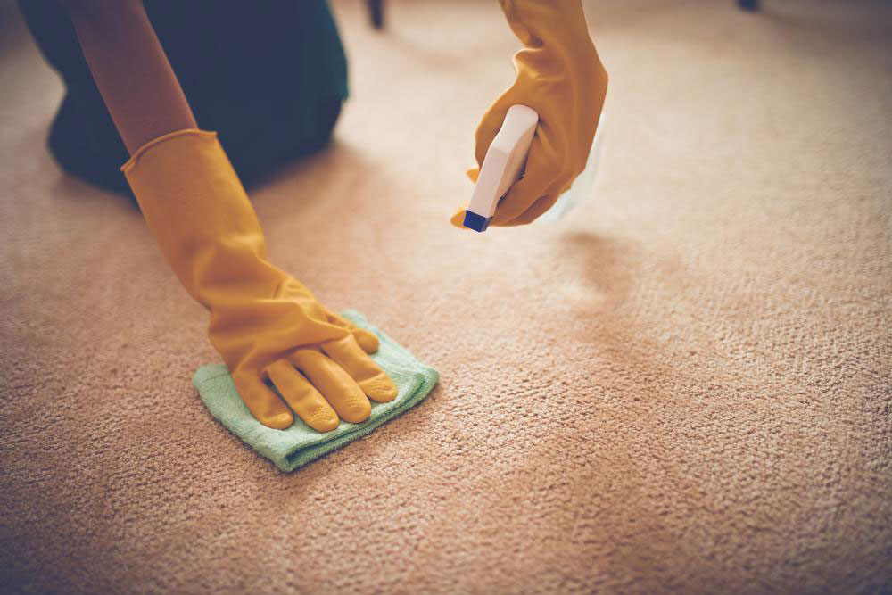 Here’s why and how to choose the best carpet stain removers