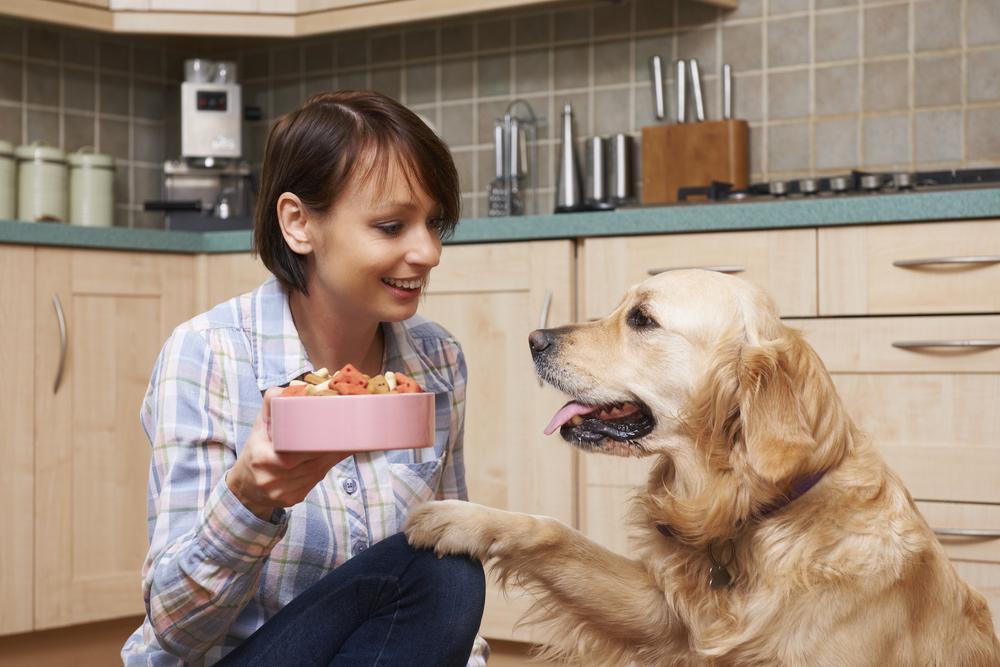 How To Treat Food Allergy Problems Of Dogs