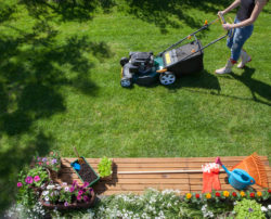 Lawnmowers Worth Buying During Sales