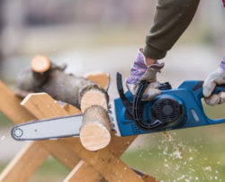 The benefits of using a petrol chainsaw