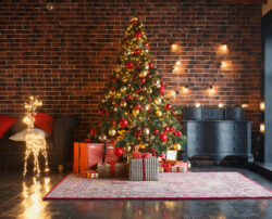 All things Christmas – Ideas for trees, gifts, and more